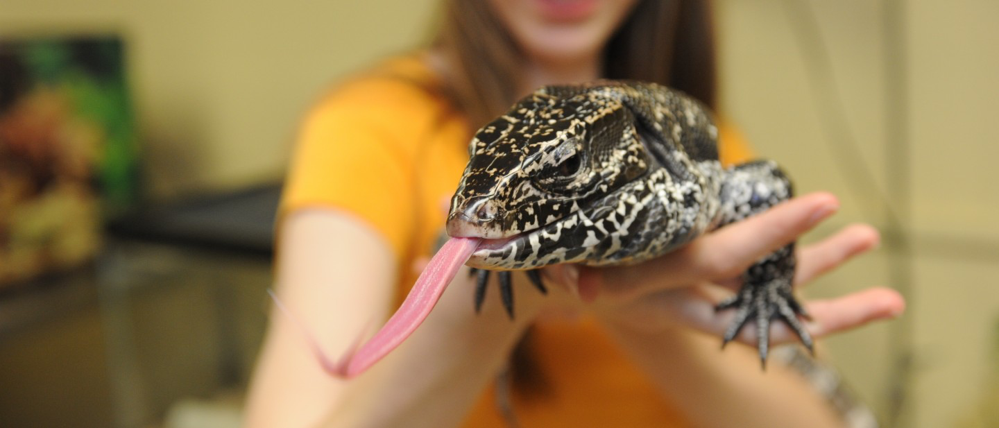 Image of Zoo and Wildlife Biology