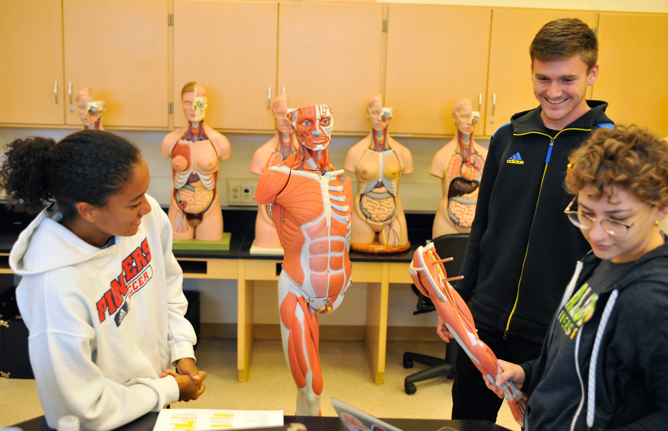 Three students examining a model of the human body