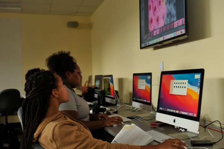 Image of Digital Arts