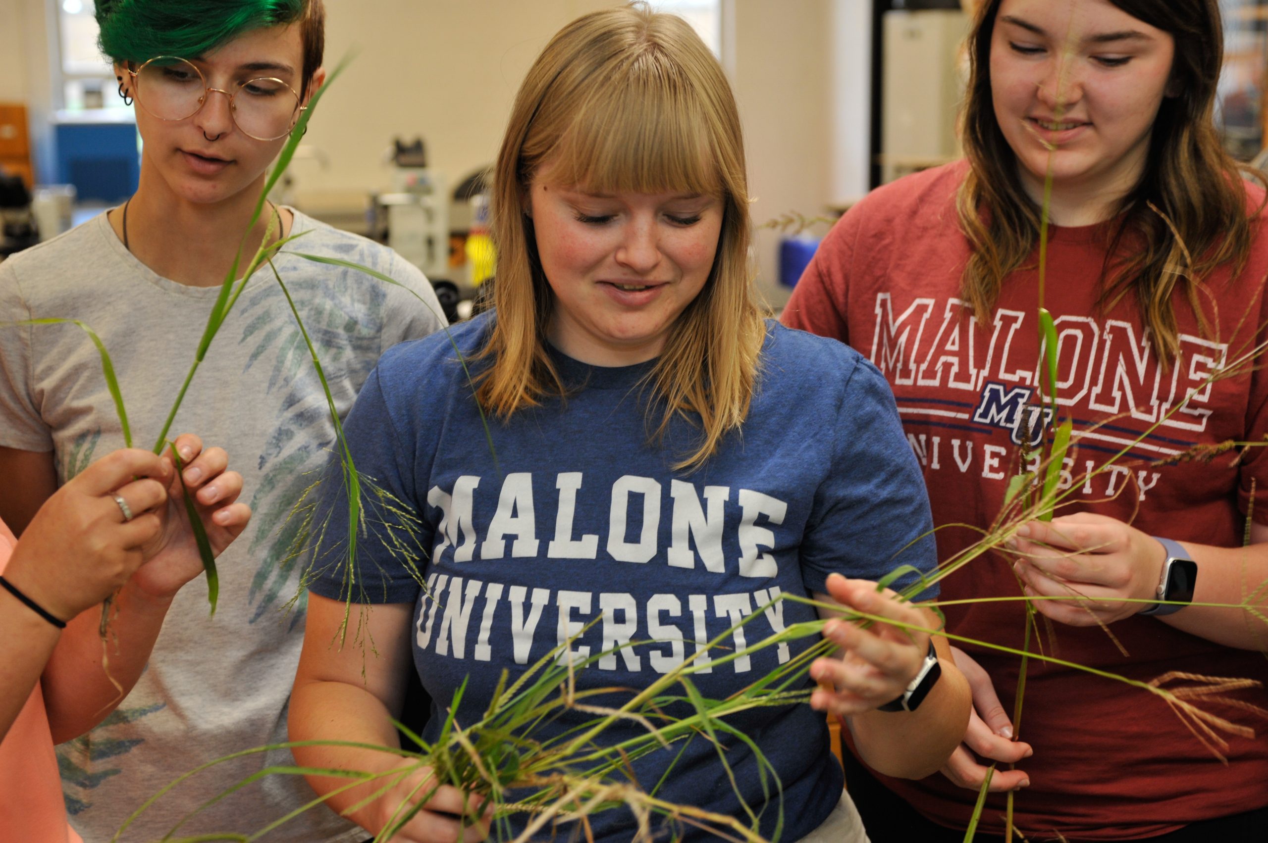 3 female students closely examining grassy plant cuttings
