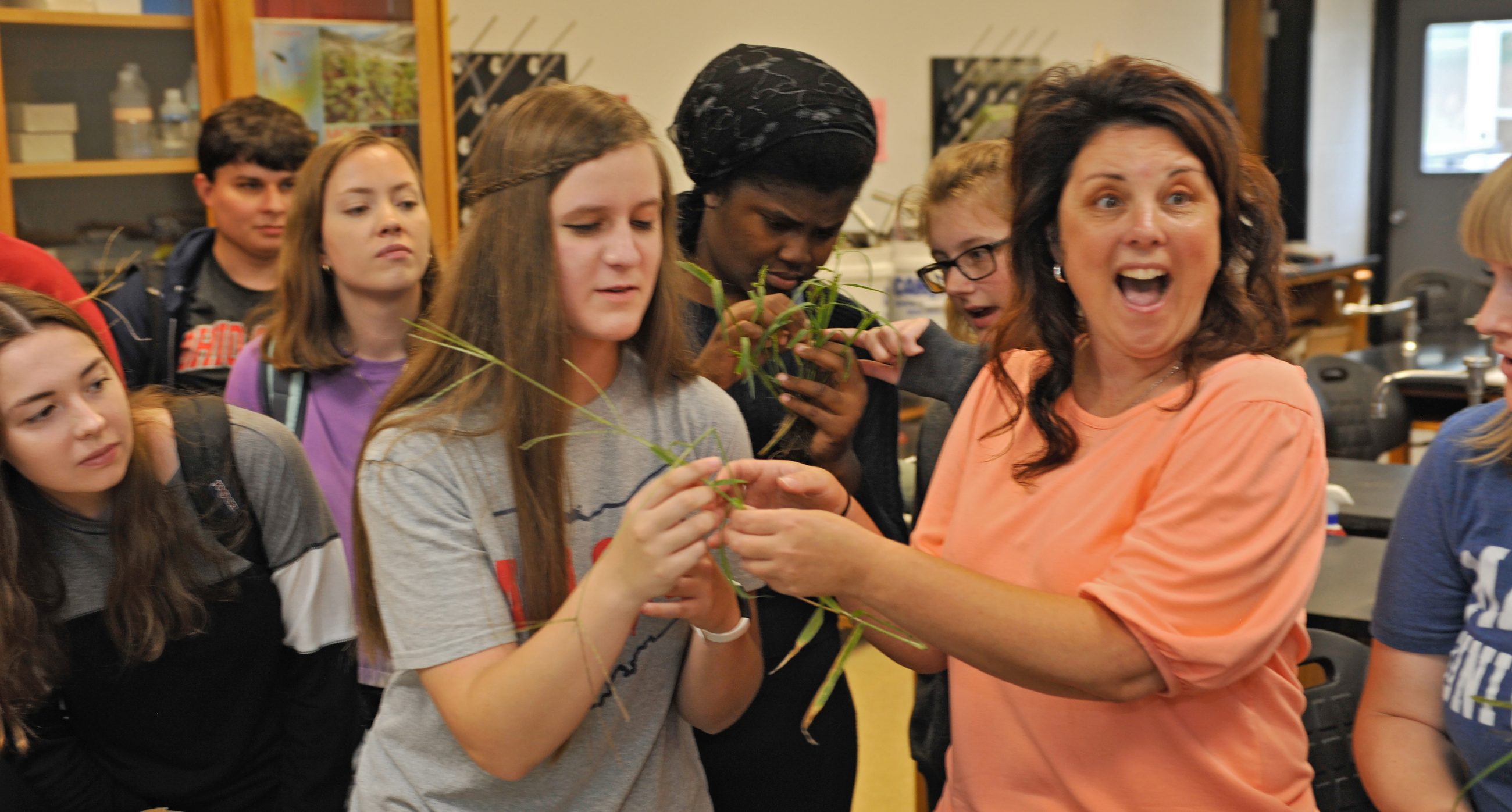 group of students examining grassy plant cuttings