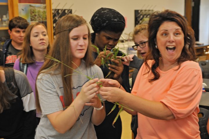 Image of Environmental Studies