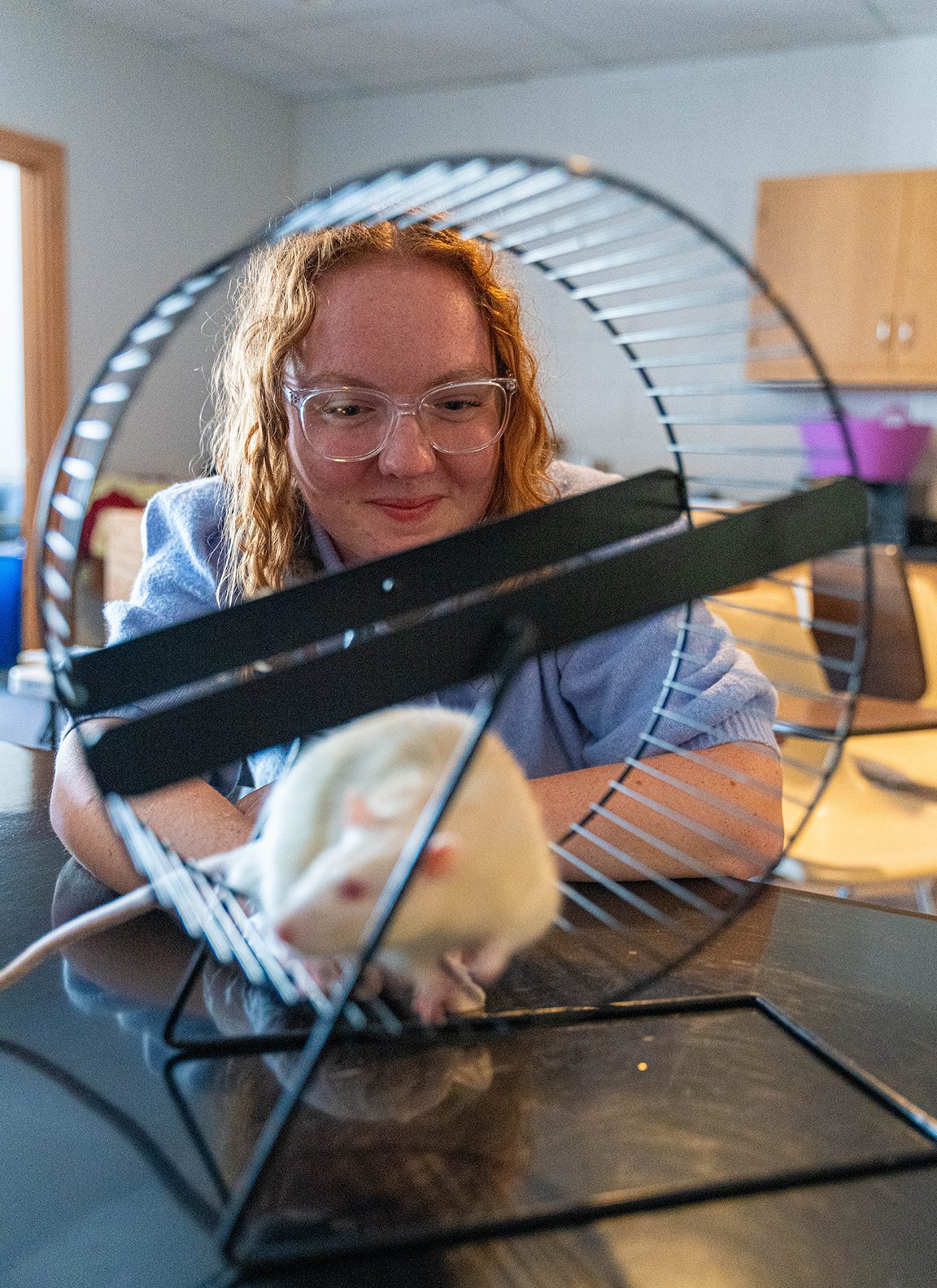 female watching white rat on wheel