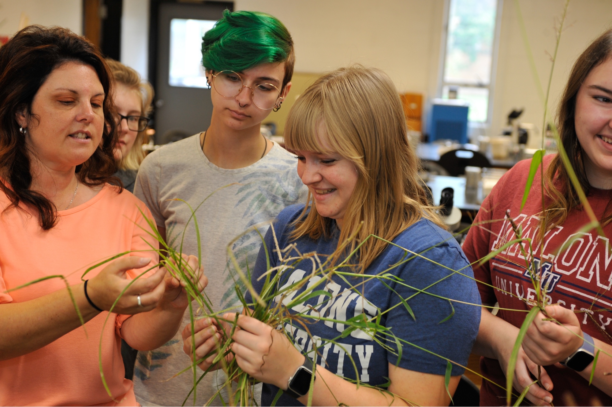 A group of four students examine a specimen in a classroom at Malone