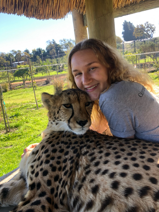 Jenna Saunders posted with a cheetah
