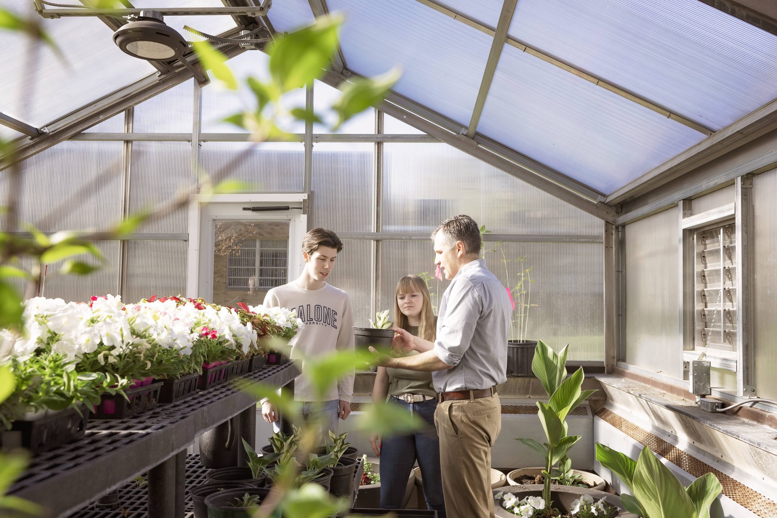 Two students visit with a professor inside a greenhouse filled with plants