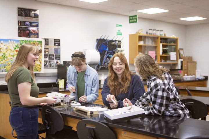 Image of Environmental Science