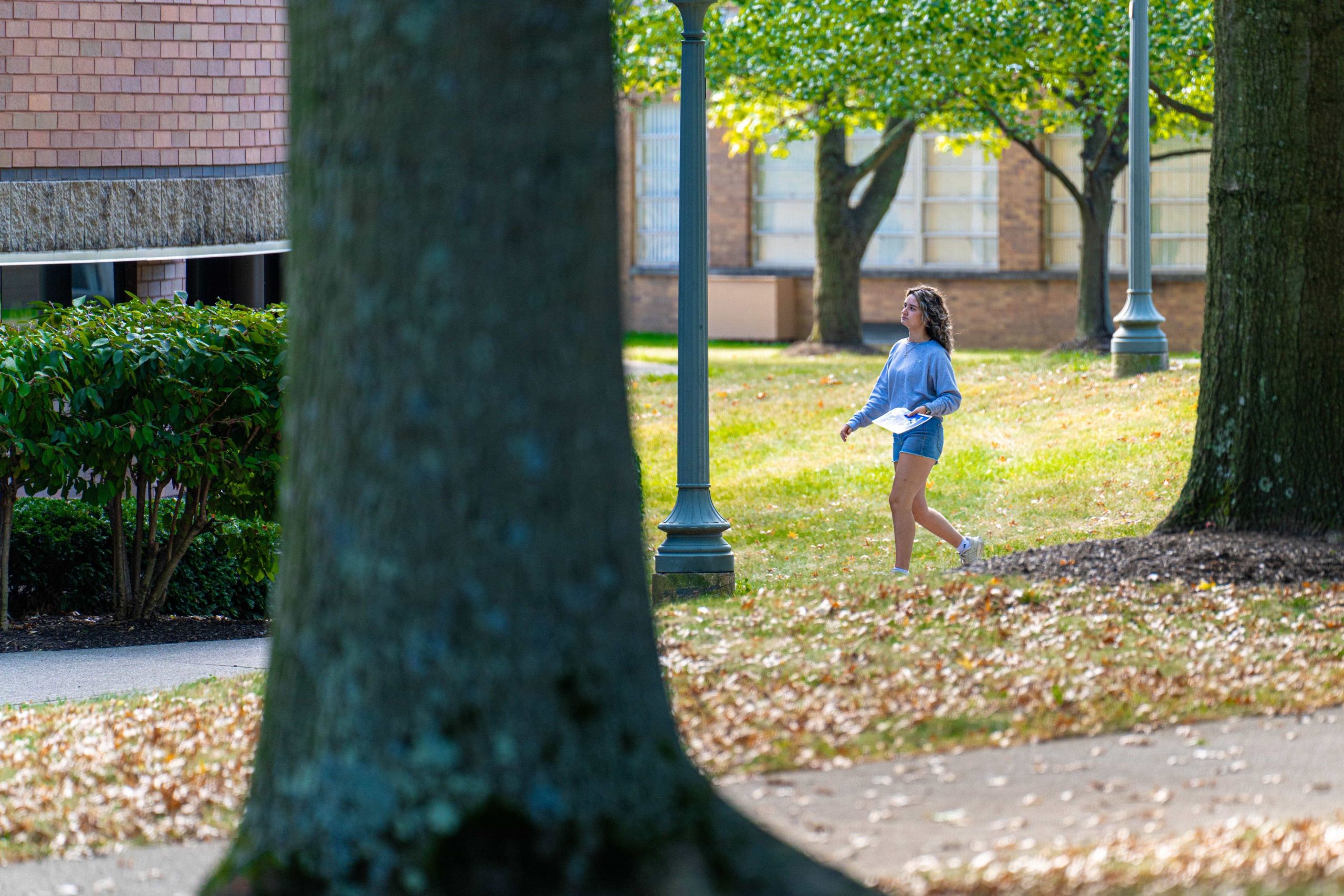 one female student in light blue clothing walking toward Regula Hall, framed by the trunks of 2 large trees