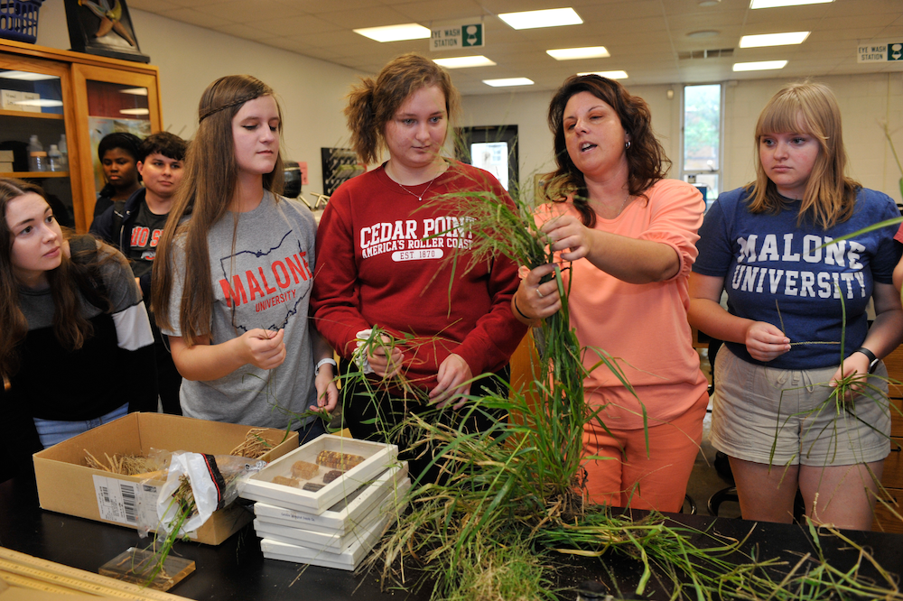 Four female students and a professor hold a variety of grasses in the botany lab room