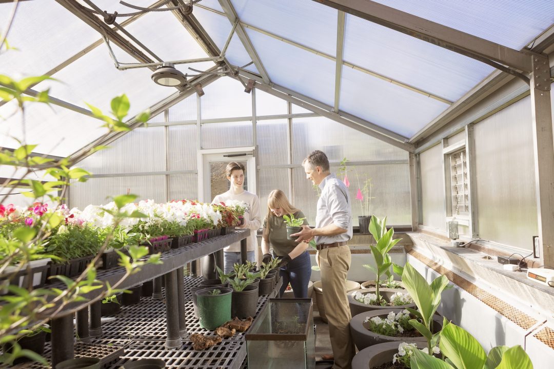 Two students work with a professor inside a beautiful greenhouse filled with plants