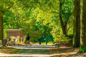 female student walking under shade trees on campus